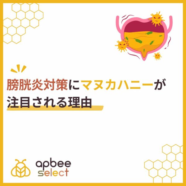 膀胱炎対策にマヌカハニーが注目される理由