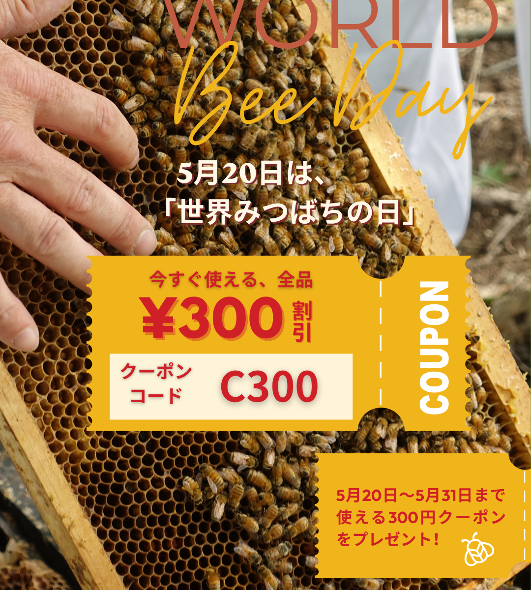 世界みつばちの日プレゼント！300円クーポン – アピビーセレクト